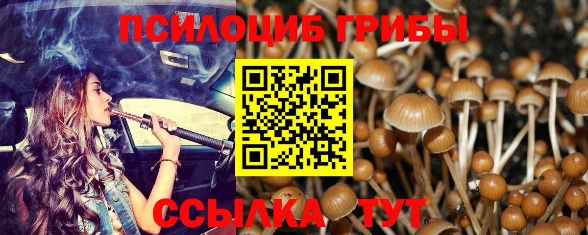 Бердск  Псилоцибиновые грибы MAGIC MUSHROOMS  Вход с VPN  Псилоцибиновые грибы MAGIC MUSHROOMS 