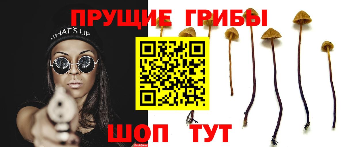 Псилоцибиновые грибы прущие грибы Бердск